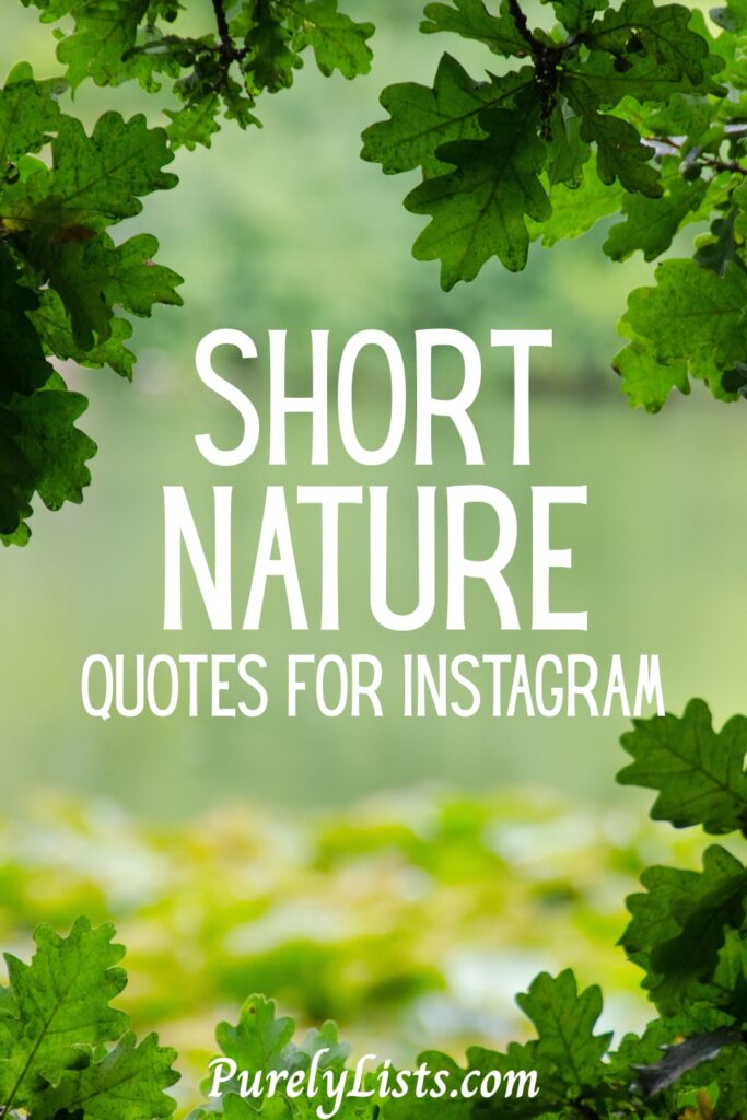 Short nature quotes