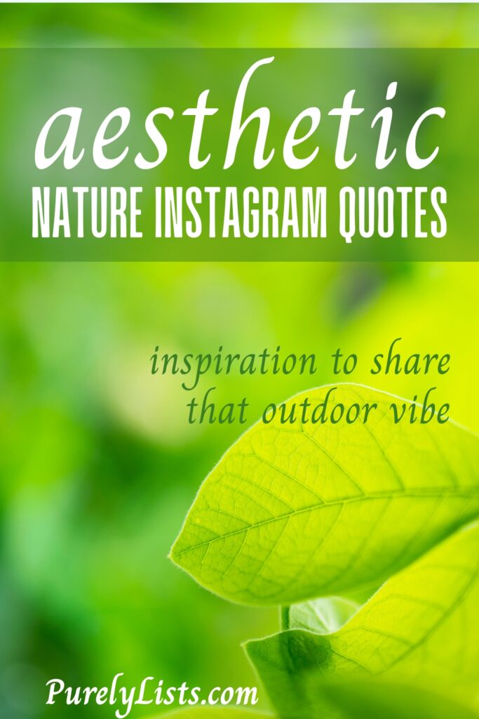 Short nature quotes
