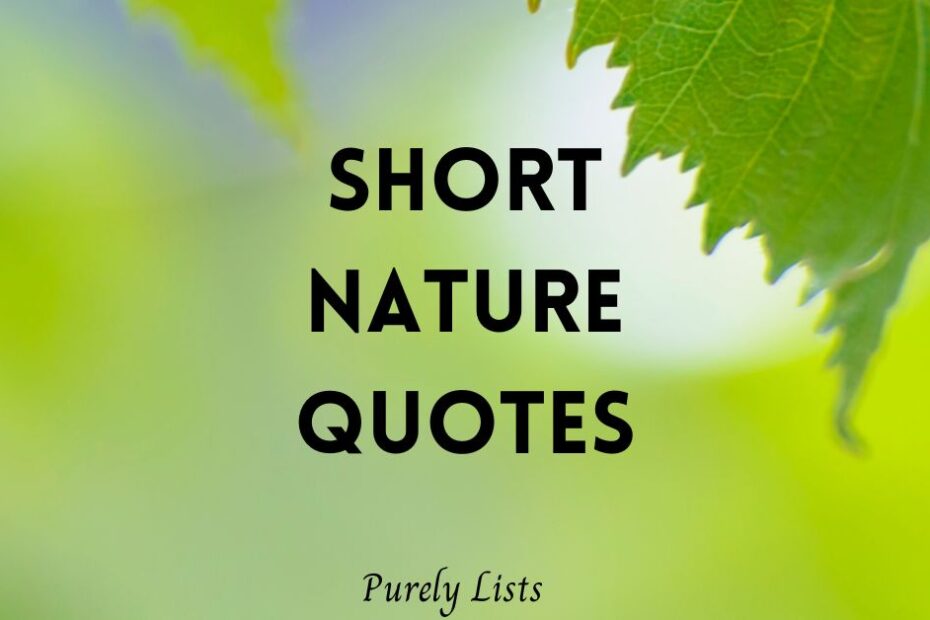 Short nature quotes