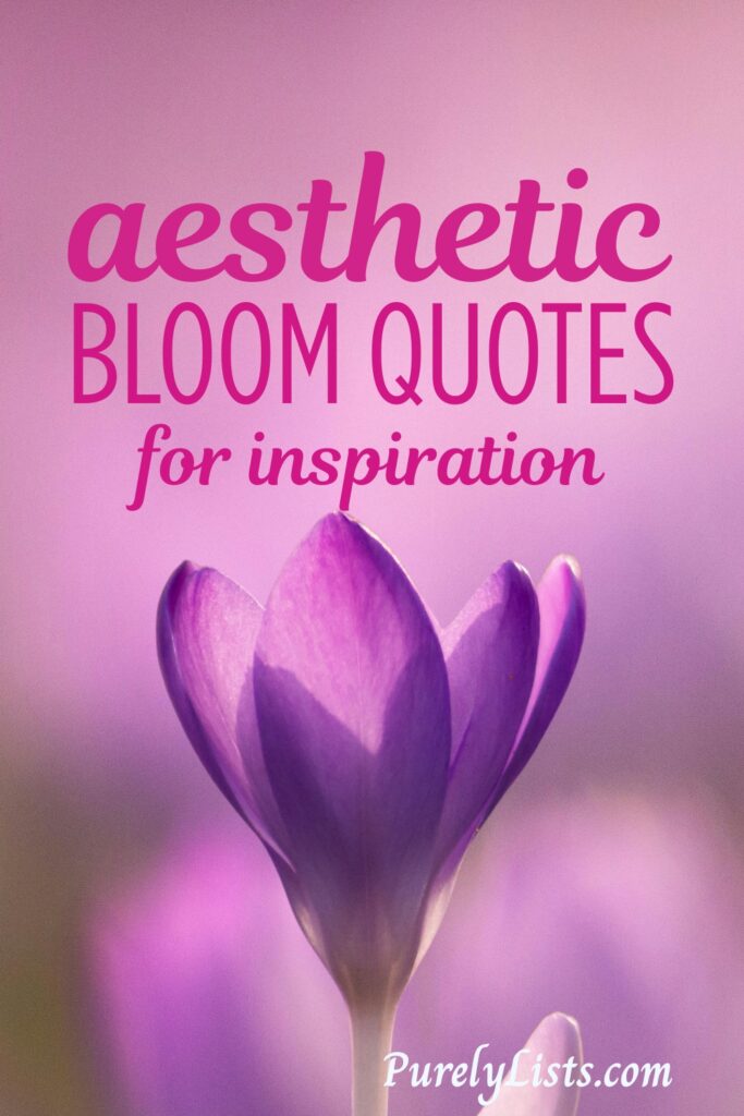 Motivational She Blooms quotes