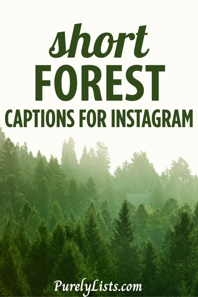 Short forest captions for Instagram