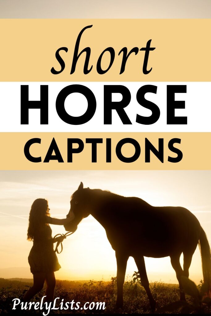 short horse captions for Instagram