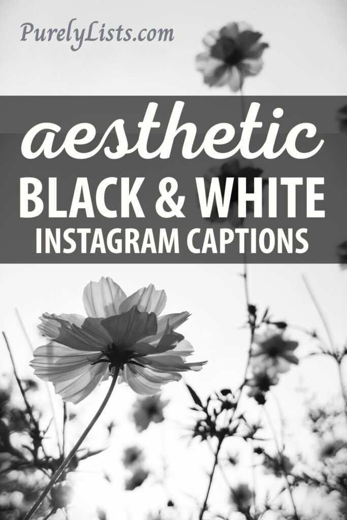 Short black and white captions for Instagram