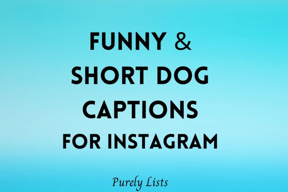 funny and short dog captions for Instagram