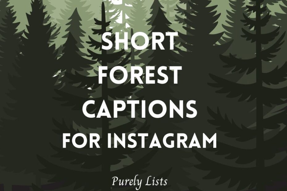 Short forest captions for Instagram