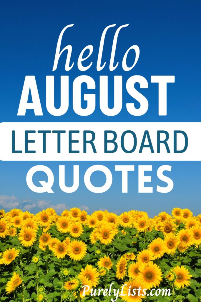 Funny and short letter board quotes