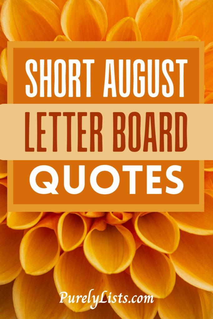 Funny and short letter board quotes