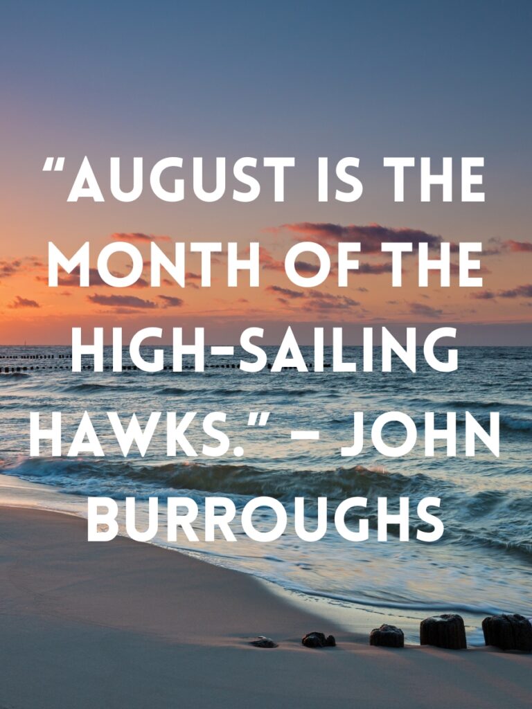 August Quotes