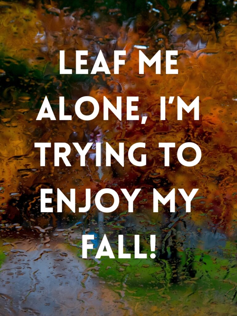Fall Captions