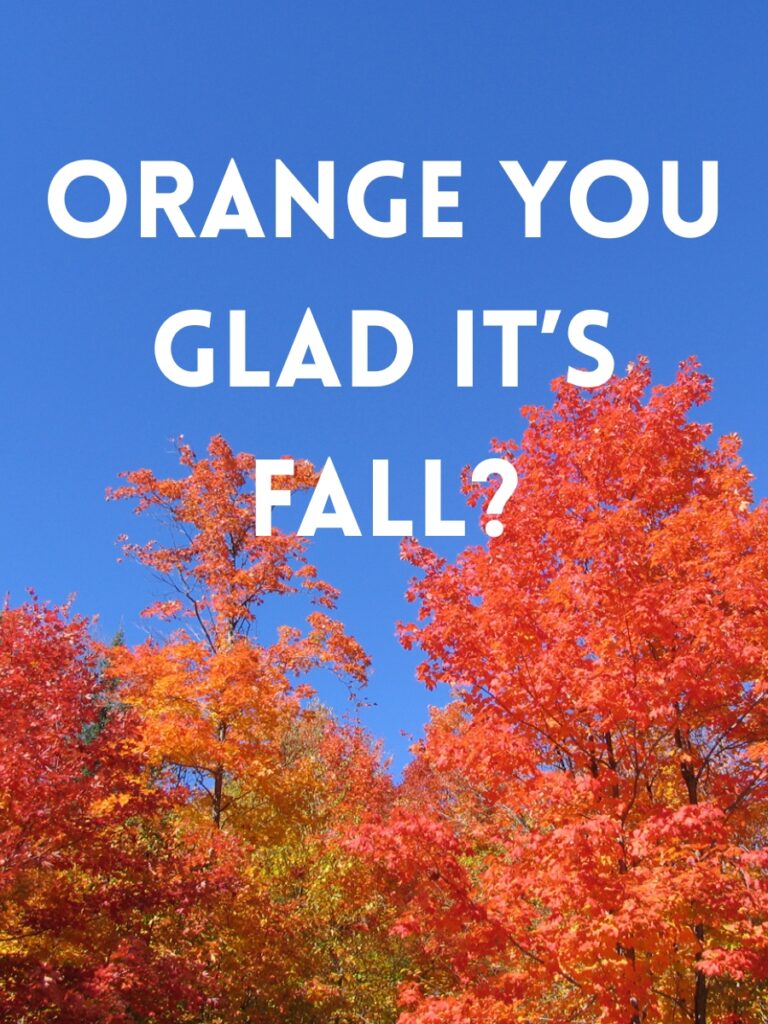 Fall Captions