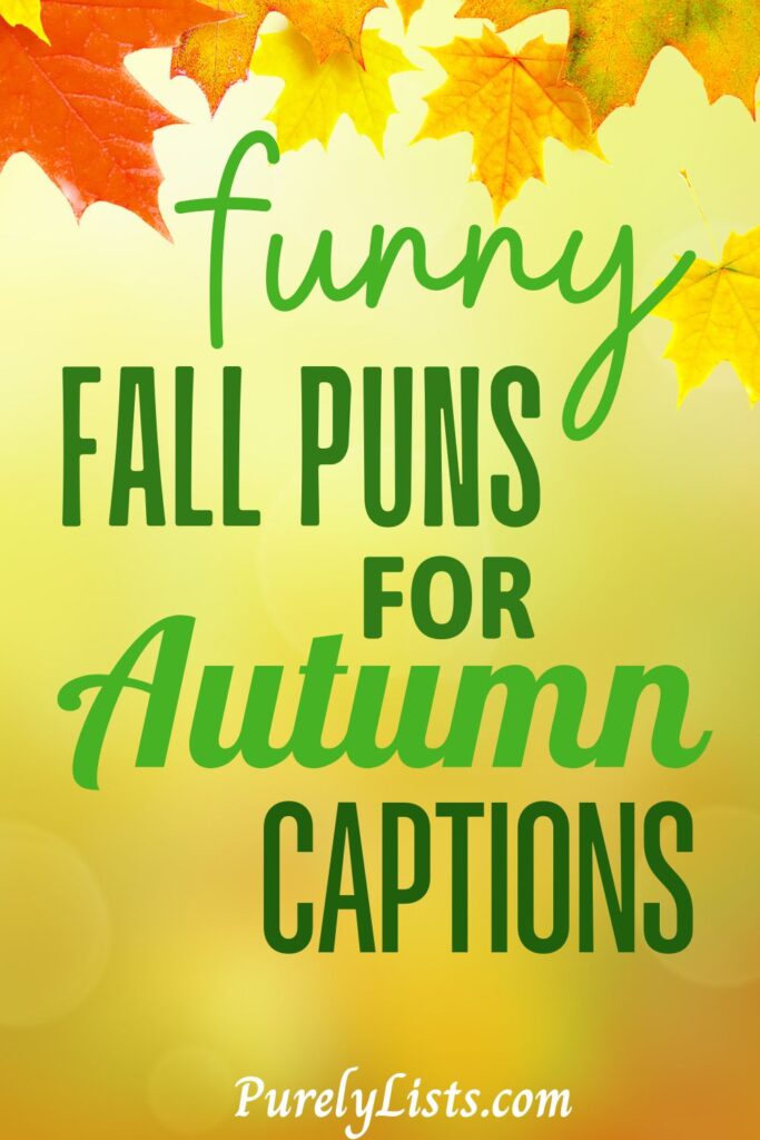 Funny fall puns for captions