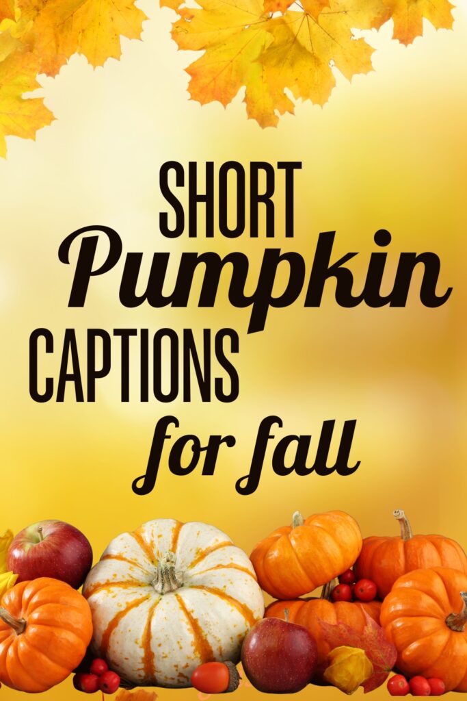 Cute and short pumpkin captions for Instagram