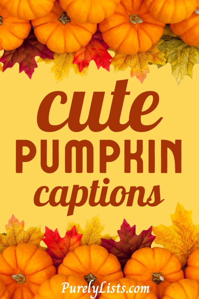Cute and short pumpkin captions for Instagram