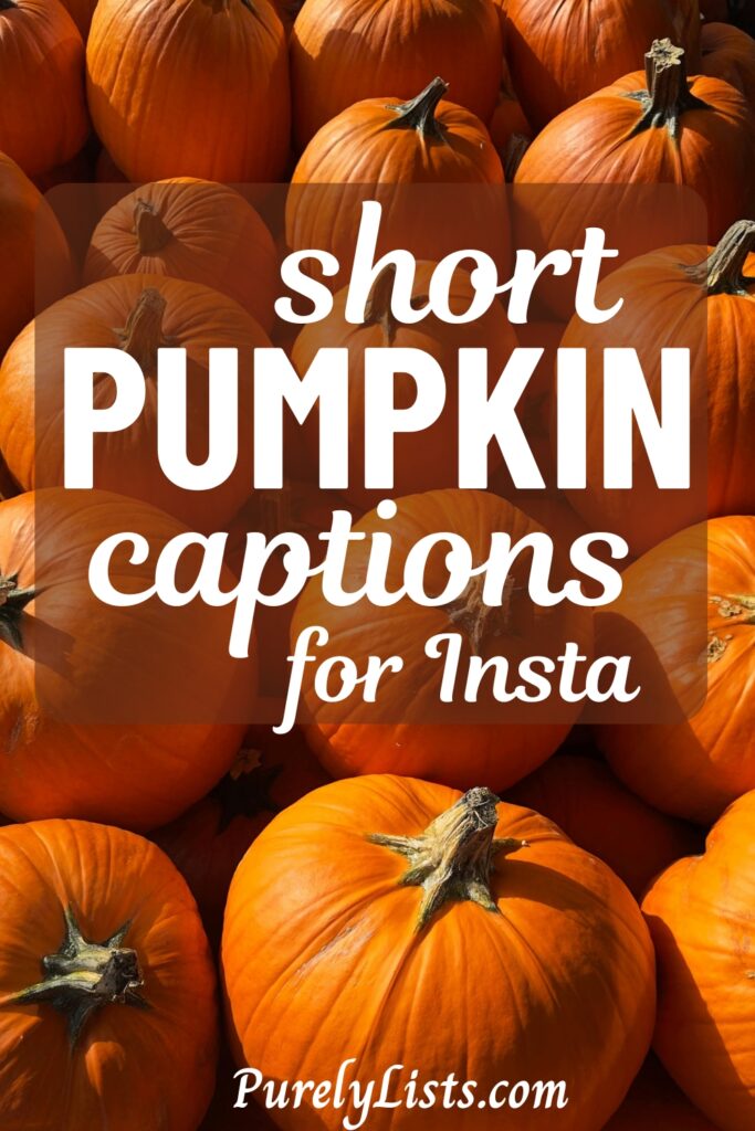 Cute and short pumpkin captions for Instagram