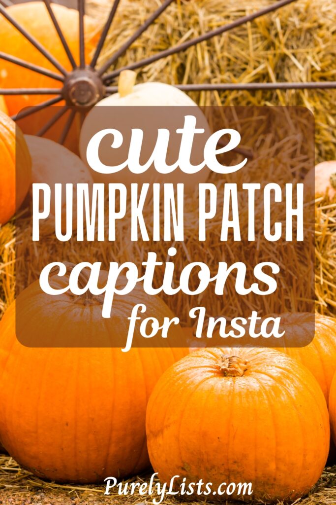 Pumpkin patch captions for Instagram