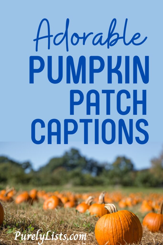 Pumpkin patch captions for Instagram
