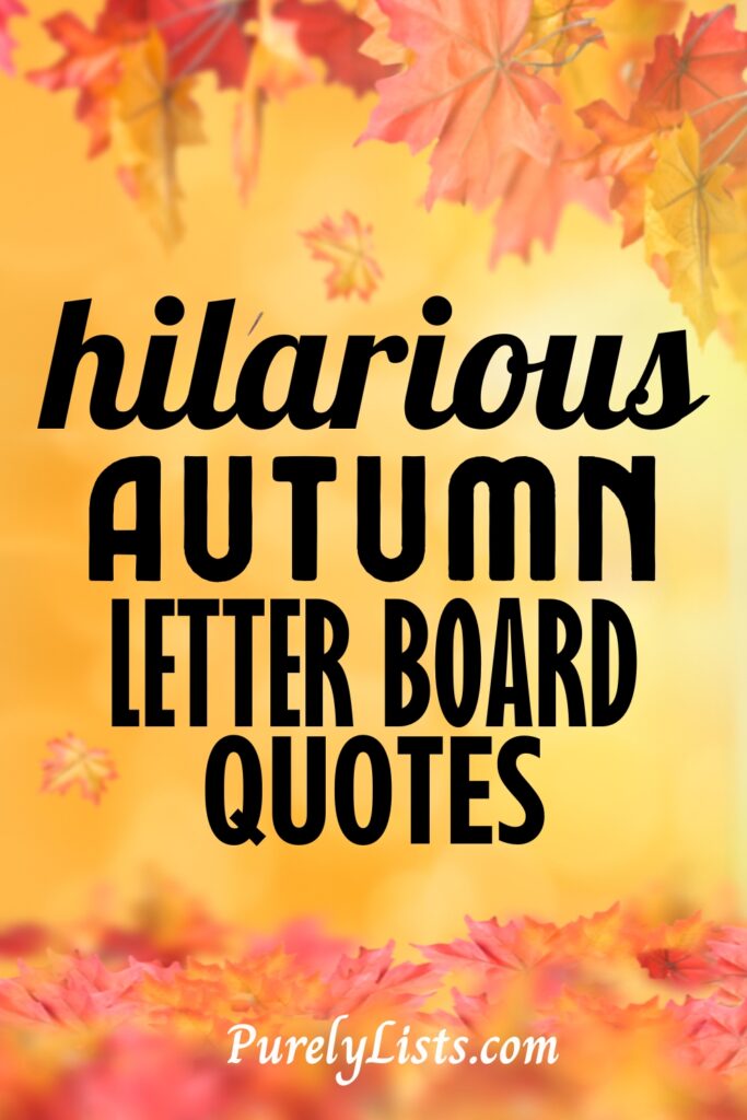 funny fall letter board quotes and sayings