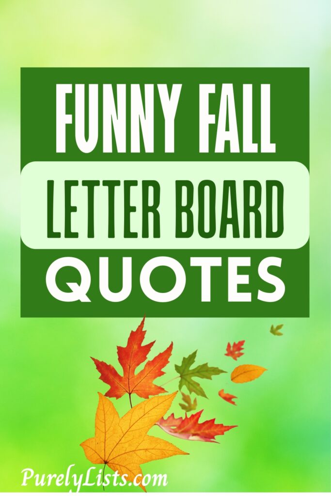 funny fall letter board quotes and sayings
