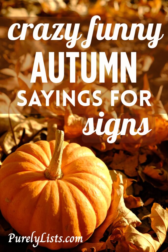Funny Fall sayings