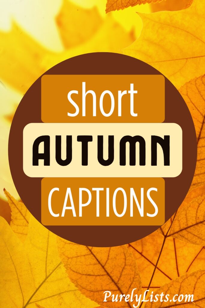 Short fall captions for Instagram
