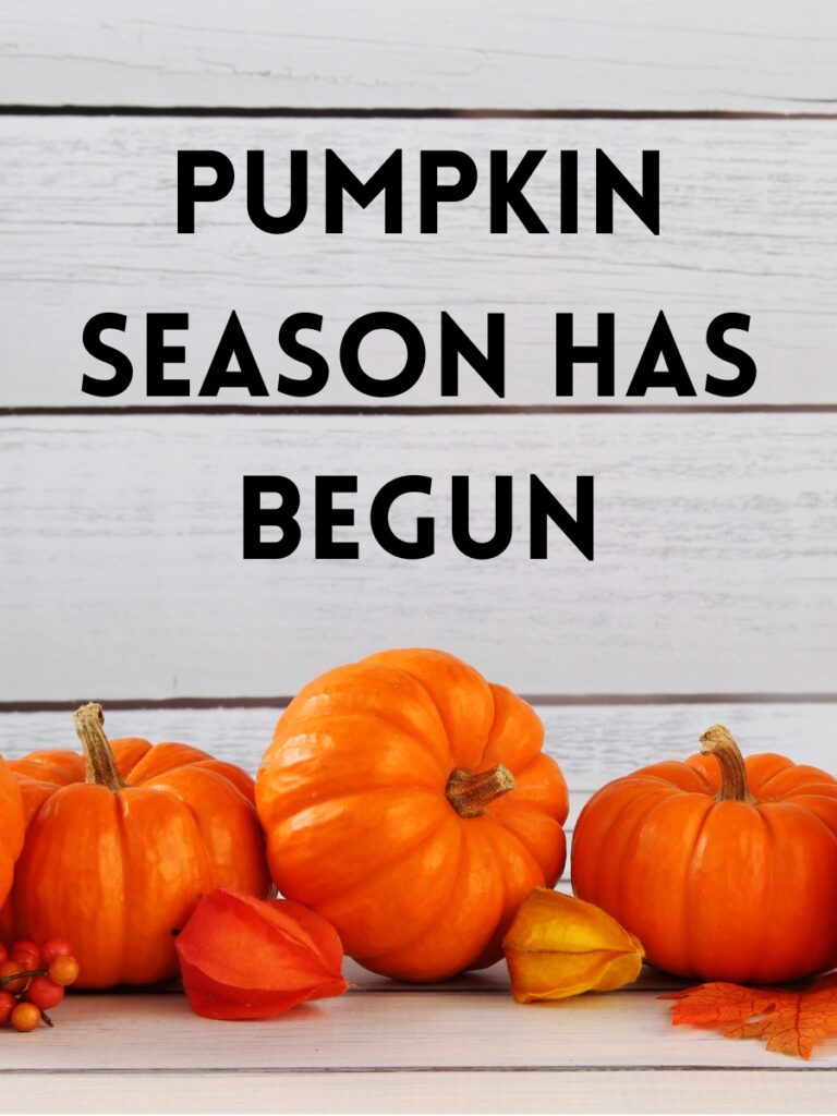 Pumpkin captions