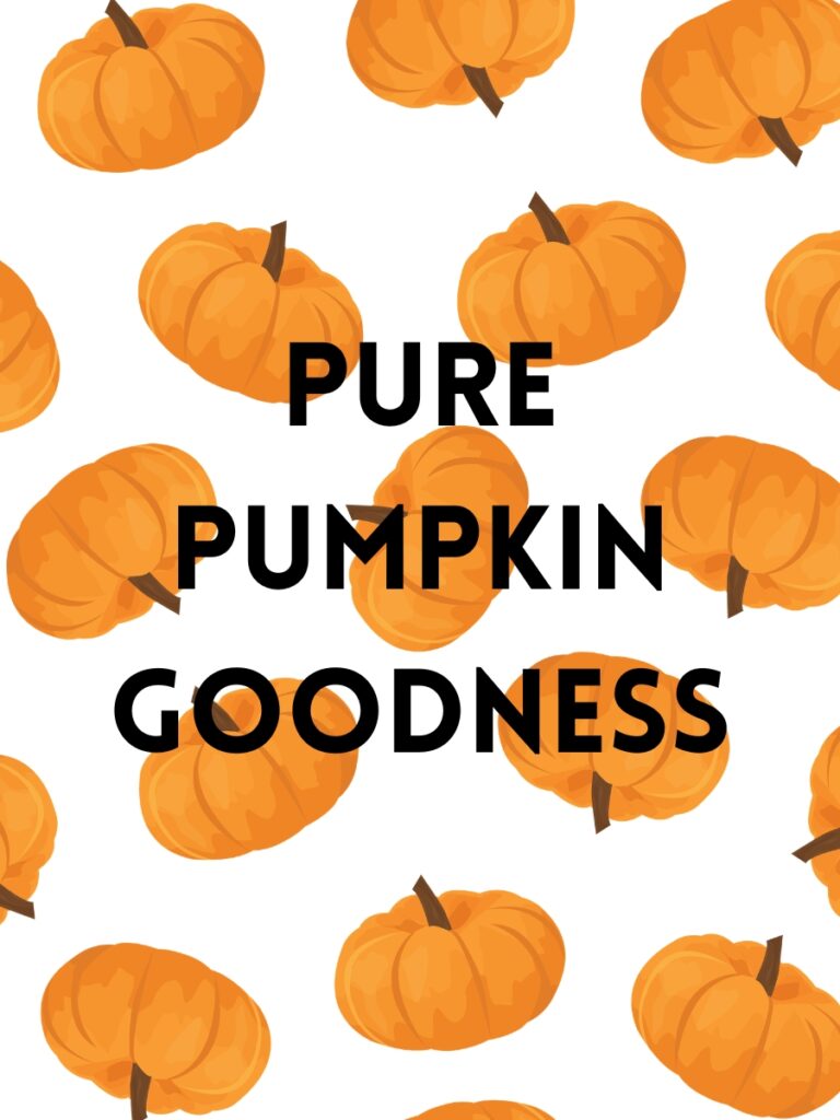 Pumpkin captions for fall
