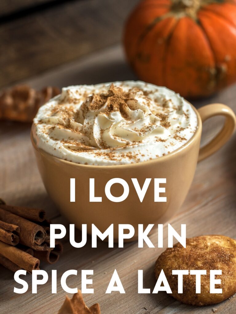 Pumpkin captions
