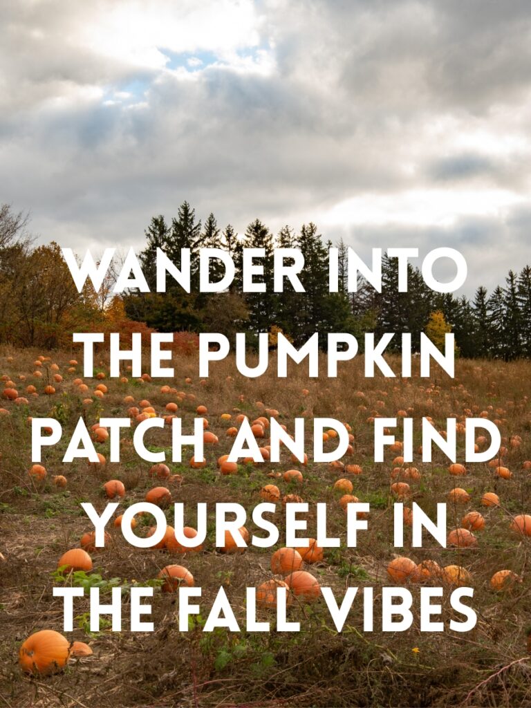Pumpkin patch captions
