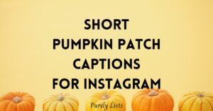 Pumpkin patch captions for Instagram