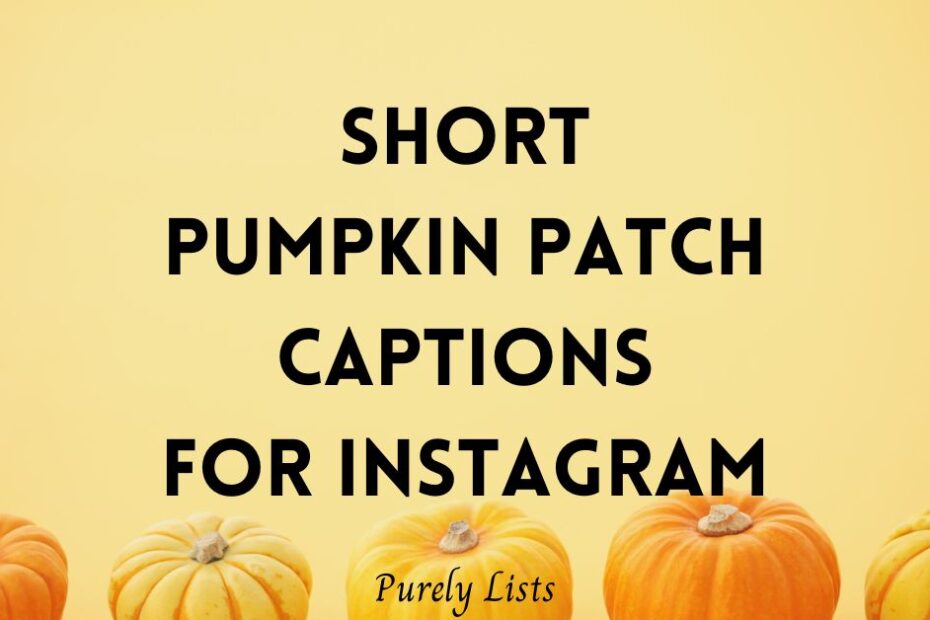 Pumpkin patch captions for Instagram