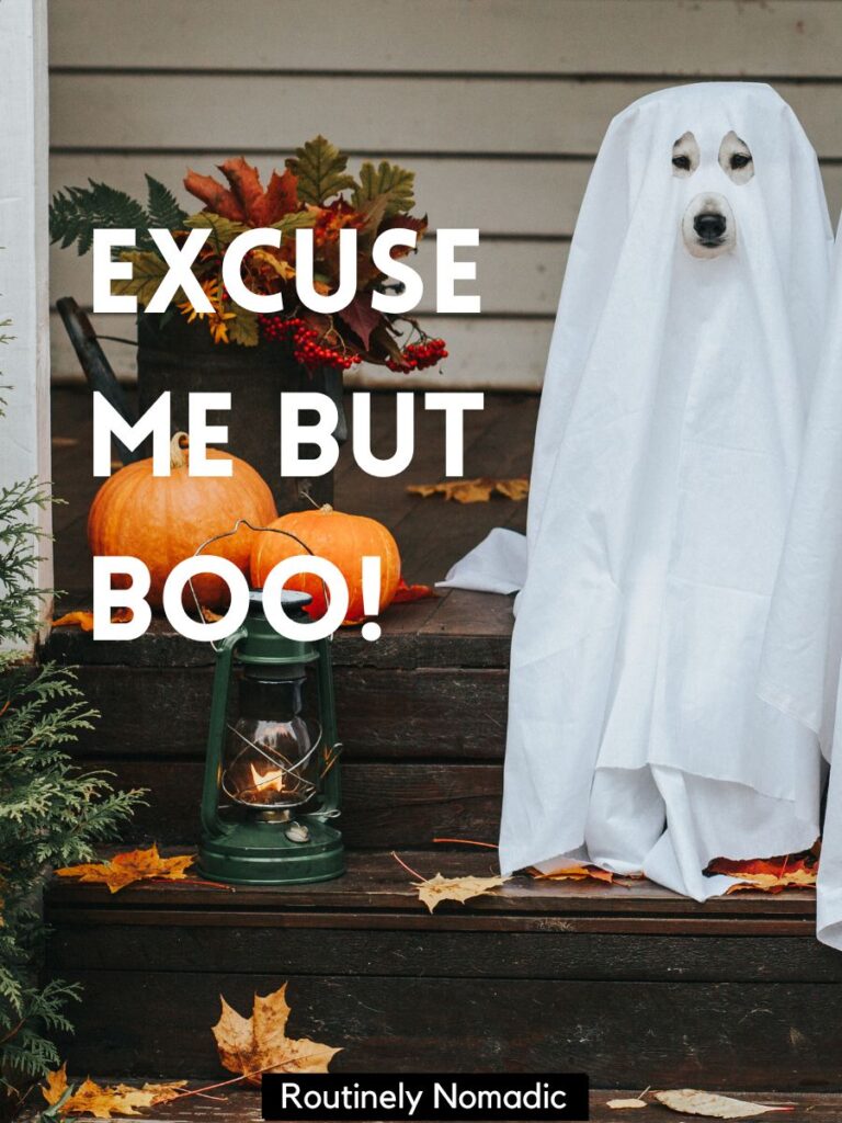 funny ghost captions