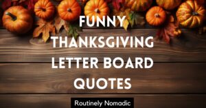 Funny Thanksgiving Letter Board Quotes