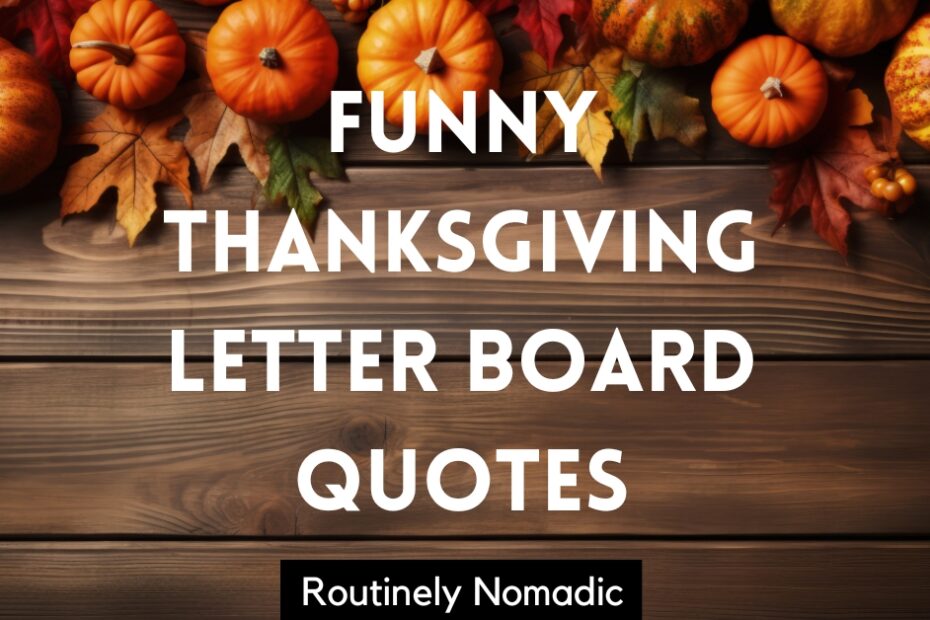 Funny Thanksgiving Letter Board Quotes