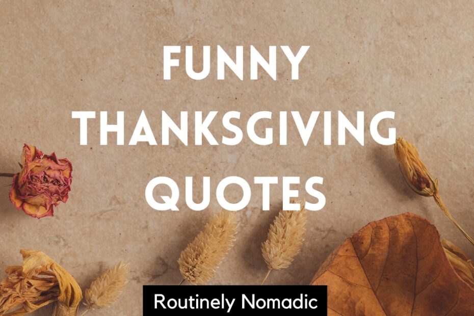 Funny Thanksgiving Quotes