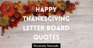 Hapyy Thanksgiving Letter Board Quotes