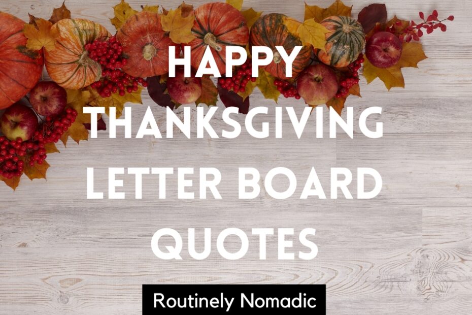 Hapyy Thanksgiving Letter Board Quotes