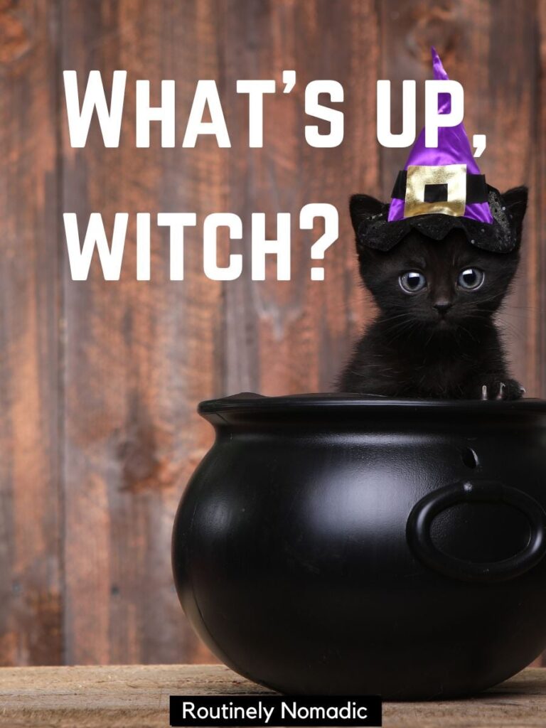 witch captions