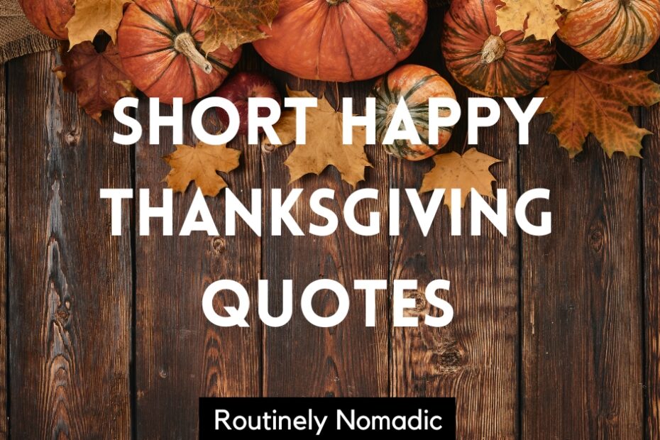 Short Happy Thanksgiving Quotes