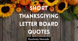 Short Thanksgiving Letter Board Quotes