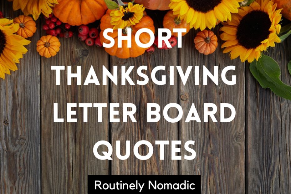 Short Thanksgiving Letter Board Quotes