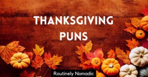 Thanksgiving Puns