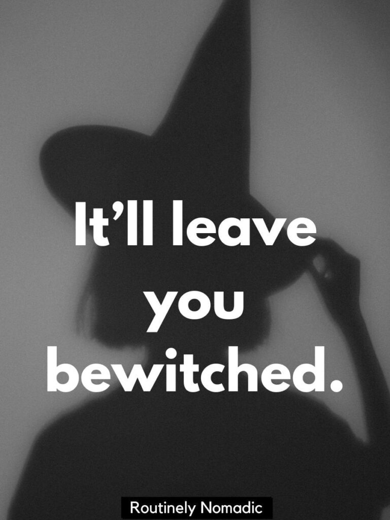 witch puns