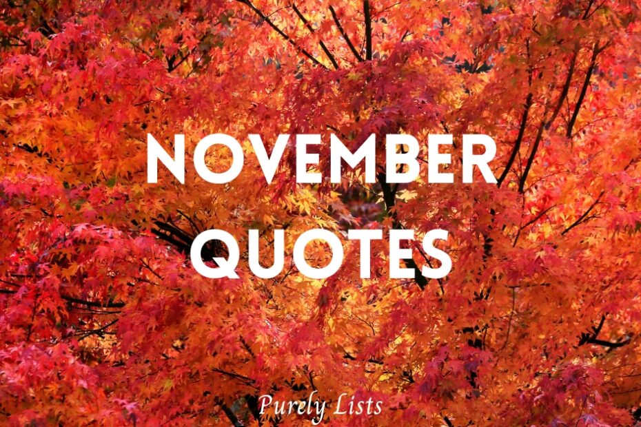 November quotes