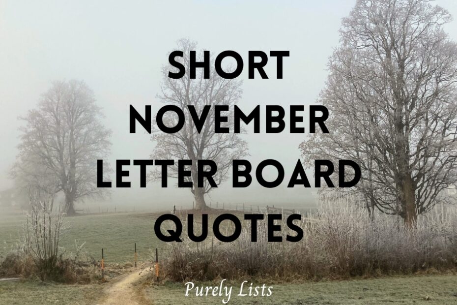 short November letter board quotes and sayings